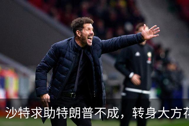 沙特求助特朗普不成，转身大方花243亿买战斗机